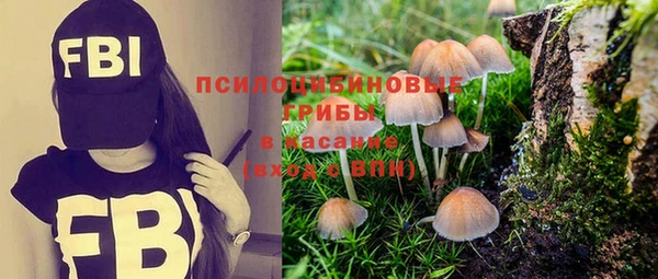 круглые Алексин