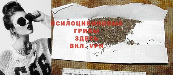 дурь Алексеевка