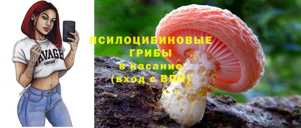 не бодяженный Алзамай