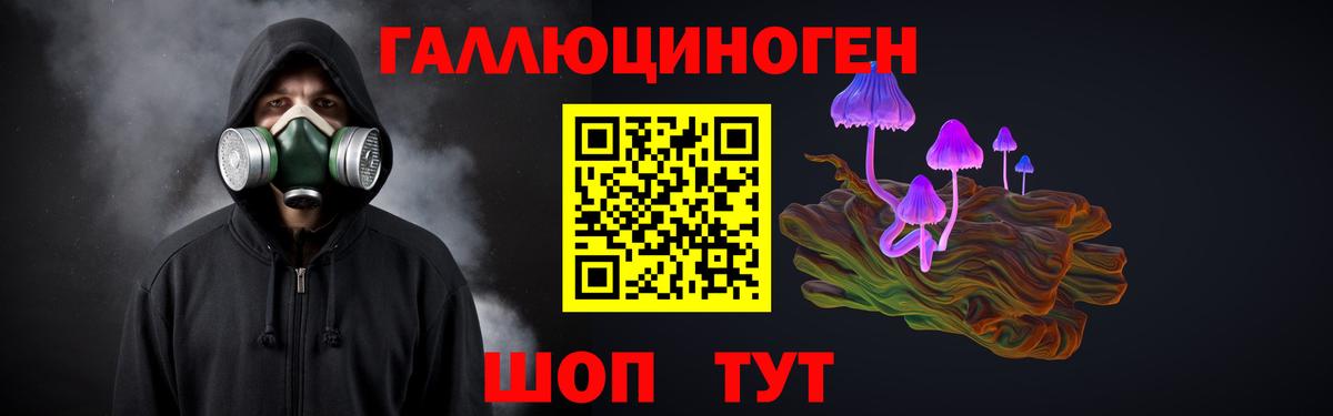 Псилоцибиновые грибы Cubensis  Вход с VPN  Галлюциногенные грибы Magic Shrooms  Елизово 