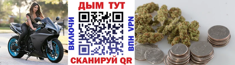 Шишки марихуана планчик  купить наркотик  Елизово 